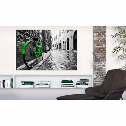 Slika - Vintage Green Bike 60x40 Cijena