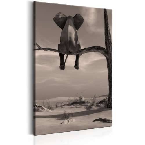 Slika - Elephant in the Desert 40x60 Cijena