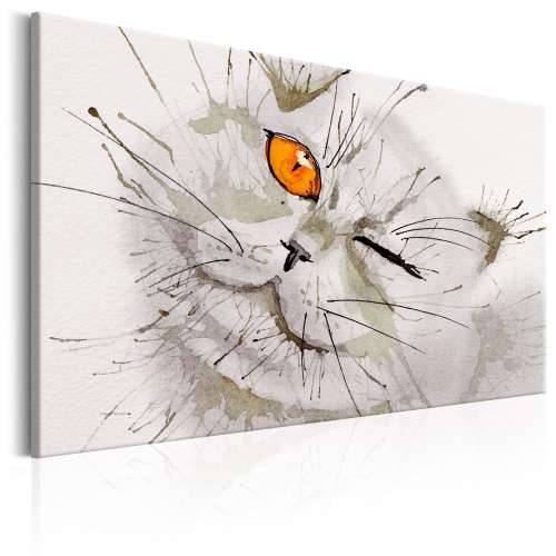Slika - Grey Cat 90x60 Cijena