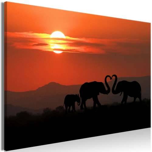 Slika - Elephants in Love (1 Part) Wide 60x40