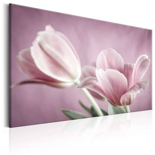 Slika - Romantic Tulips 90x60 Cijena