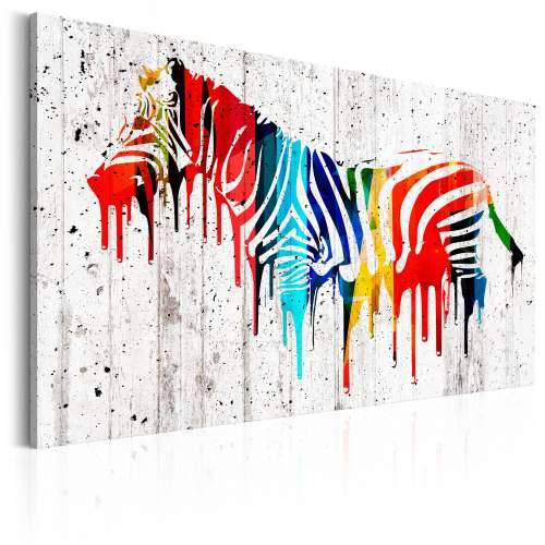 Slika - Colourful Zebra 60x40 Cijena