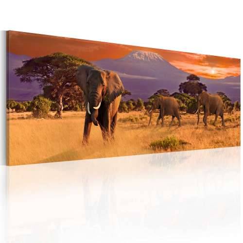Slika - March of african elephants 120x40 Cijena