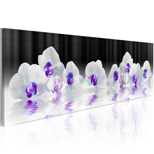 Slika -  Water Orchids 150x50 Cijena
