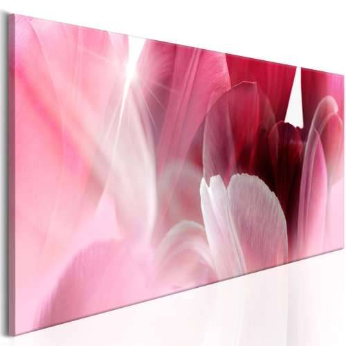 Slika - Flowers: Pink Tulips 120x40 Cijena