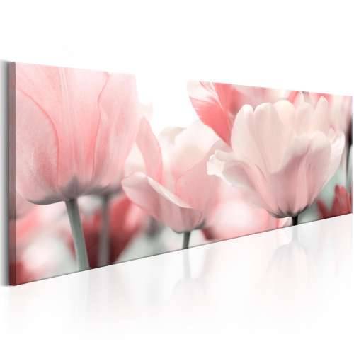 Slika - Pink Tulips 120x40 Cijena