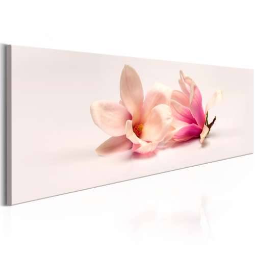 Slika - Beautiful Magnolias 150x50