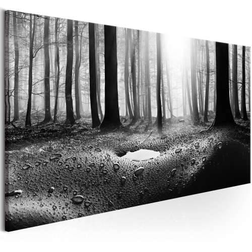 Slika - Forest after Rain (1 Part) Narrow 150x50