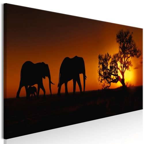 Slika - Elephant Family (Orange) 120x40 Cijena
