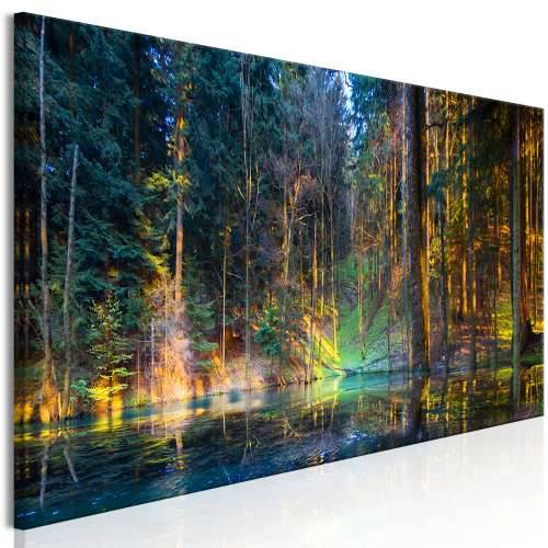 Slika - Pond in the Forest (1 Part) Narrow 120x40