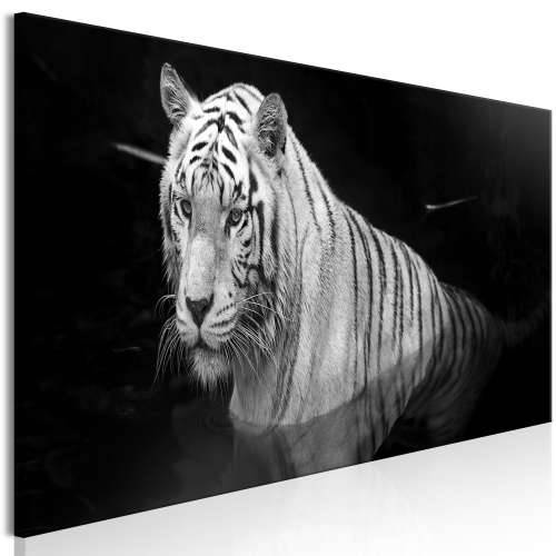 Slika - Shining Tiger (1 Part) Black and White Narrow 150x50