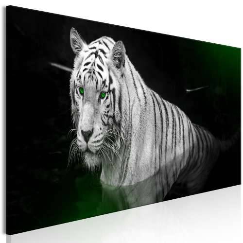 Slika - Shining Tiger (1 Part) Green Narrow 150x50 Cijena
