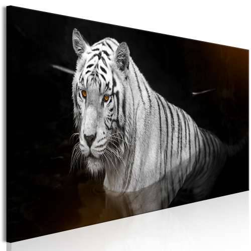 Slika - Shining Tiger (1 Part) Orange Narrow 120x40 Cijena