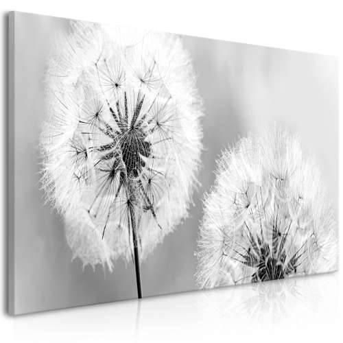 Slika - Fluffy Dandelions (1 Part) Grey Wide 100x45