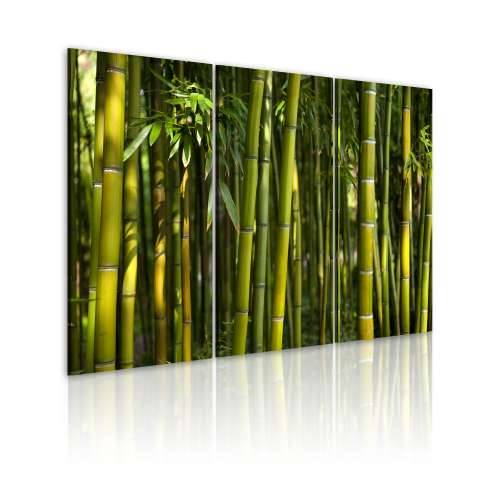 Slika - Green bamboo  60x40