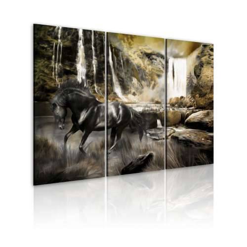 Slika - Black horse and rocky waterfall 60x40 Cijena