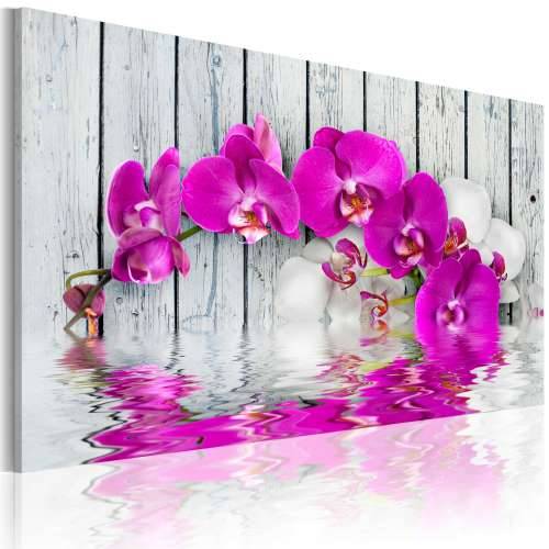 Slika - harmony: orchid 60x40 Cijena
