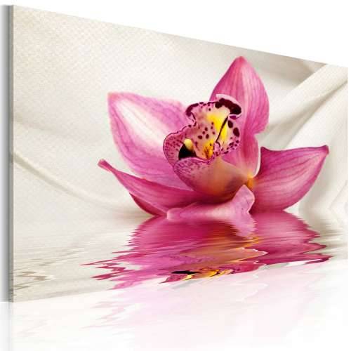 Slika - Unusual orchid 60x40 Cijena