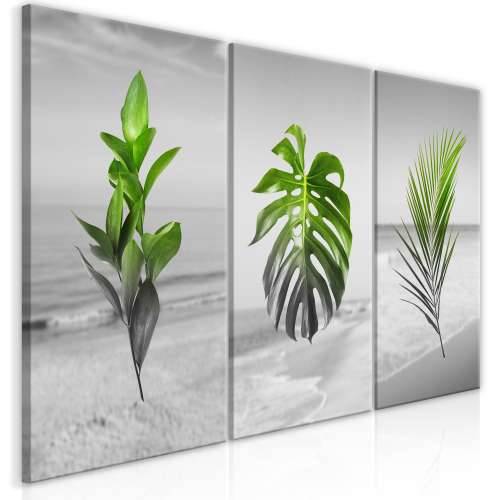 Slika - Plants (Collection) 120x60 Cijena