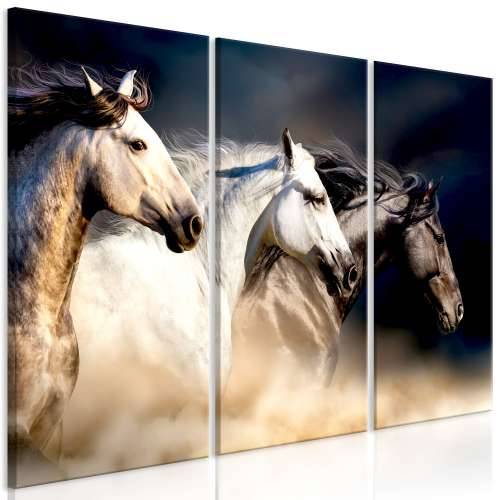 Slika - Sons of the Wind (3 Parts) 90x60 Cijena