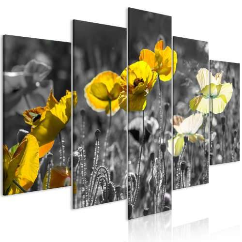 Slika - Yellow Poppies (5 Parts) Wide 100x50 Cijena