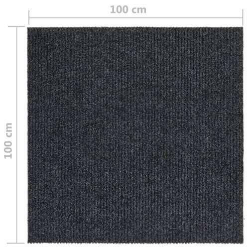 Dugi tepih za hvatanje nečistoće 100 x 100 cm antracit Cijena