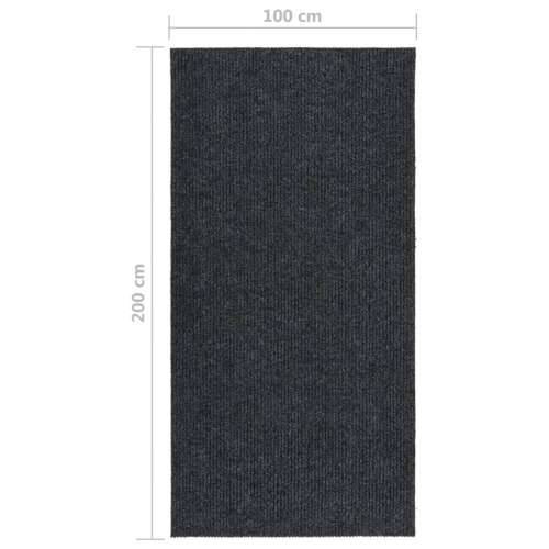 Dugi tepih za hvatanje nečistoće 100 x 200 cm antracit Cijena