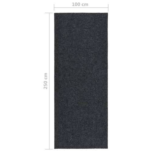 Dugi tepih za hvatanje nečistoće 100 x 250 cm antracit Cijena