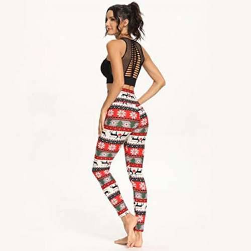 Santy Cijena