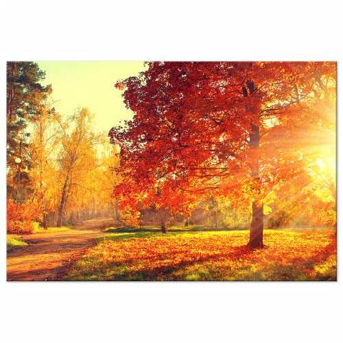 Slika - Autumn Afternoon (1 Part) Wide 120x80 Cijena