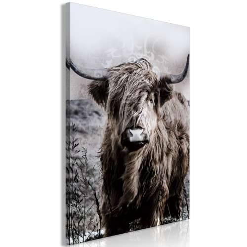 Slika - Highland Cow in Sepia 80x120