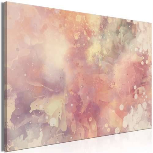 Slika - Colourful Explosion (1 Part) Wide 60x40 Cijena