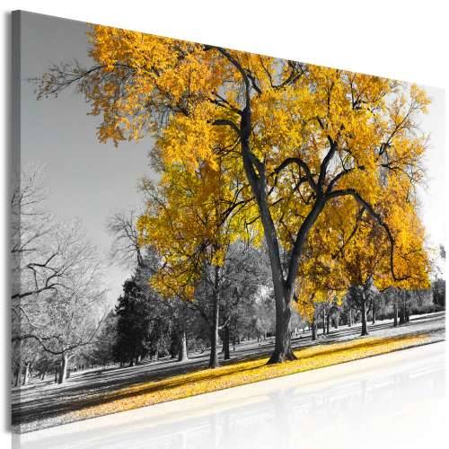 Slika - Autumn in the Park (1 Part) Narrow Gold 150x50 Cijena