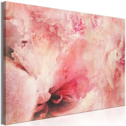 Slika - Pink Etude (1 Part) Wide 60x40 Cijena