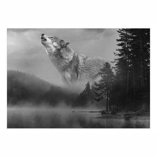 Foto tapeta - Forest Secrets 250x175 Cijena