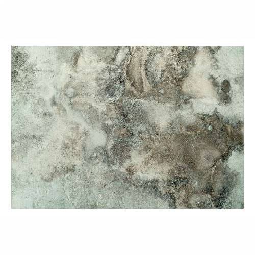 Foto tapeta - Juicy Moss 150x105 Cijena