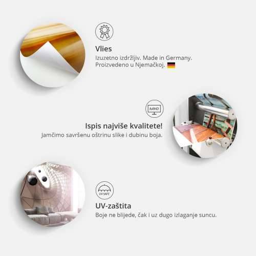 Foto tapeta - Retained Beauty 300x210 Cijena