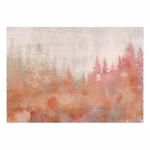 Foto tapeta - Forest at Sunset 250x175 Cijena