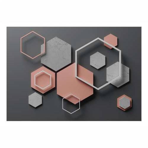 Samoljepljiva foto tapeta - Hexagon Plan 196x140 Cijena