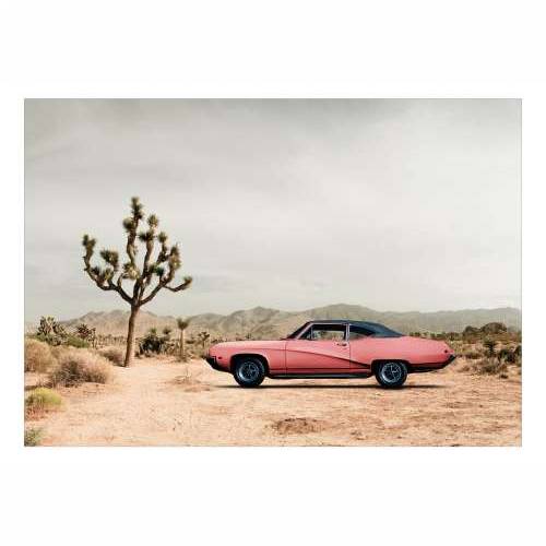 Samoljepljiva foto tapeta - Desert California 294x210 Cijena