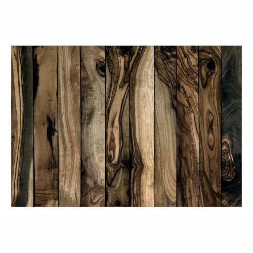 Samoljepljiva foto tapeta - Olive Wood 392x280 Cijena