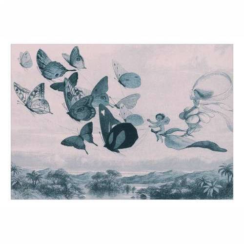 Samoljepljiva foto tapeta - Butterflies and Fairy 245x175 Cijena