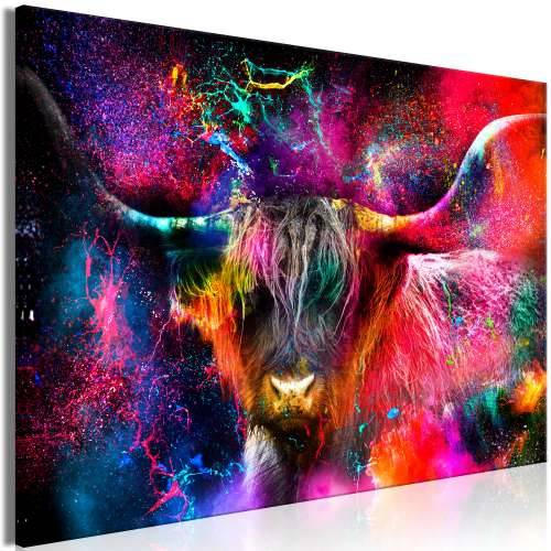 Slika - Colorful Bull (1 Part) Wide 60x40 Cijena