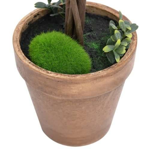 Umjetni šimširi s posudama 2 kom u obliku kugle zeleni 56 cm - 14.5 x 56 cm 2 Cijena