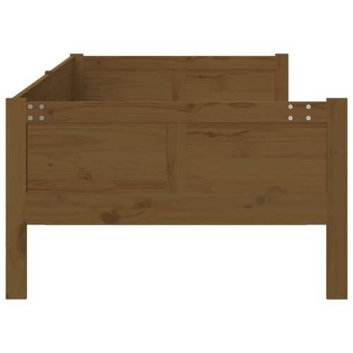 Dnevni ležaj od masivne borovine smeđa boja meda 80 x 200 cm - boja meda 80 x 200 cm Cijena