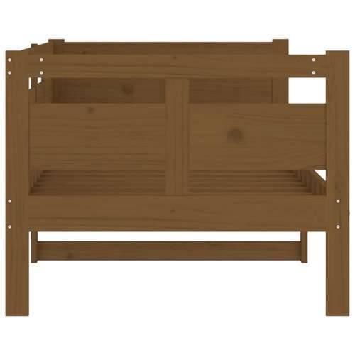 Dnevni ležaj od masivne borovine smeđa boja meda 80 x 200 cm - boja meda 80 x 200 cm Cijena