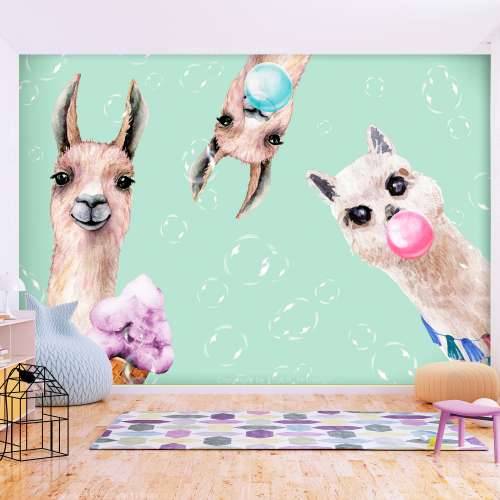 Foto tapeta - Crazy Llamas 150x105 Cijena