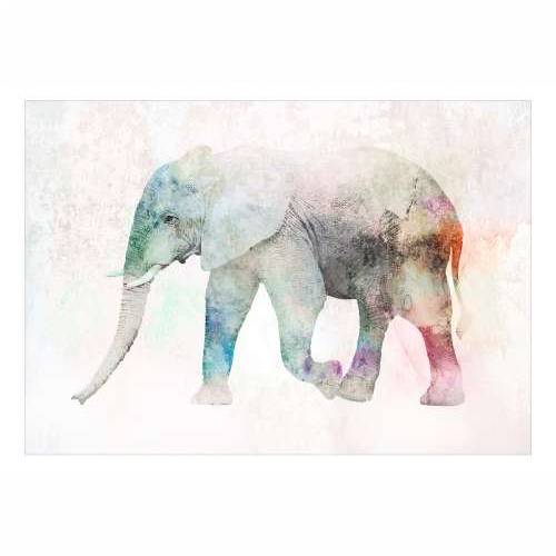Foto tapeta - Painted Elephant 150x105 Cijena