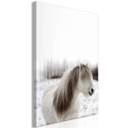 Slika - Horse Mane (1 Part) Vertical 60x90 Cijena