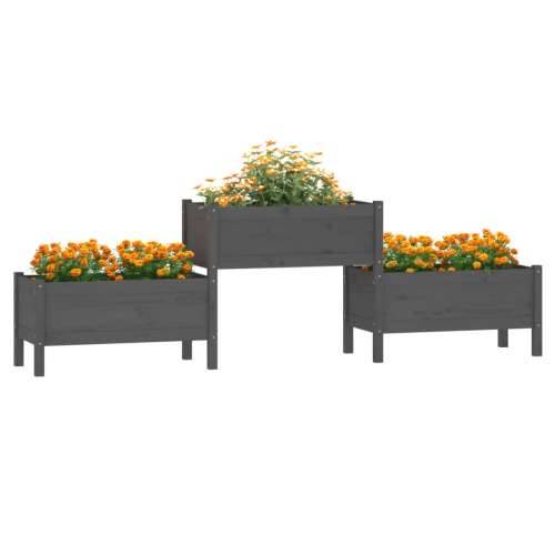 Sadilica siva 245,5x44x75 cm od masivne borovine - Siva 245.5 x 44 x 75 cm 1 Cijena